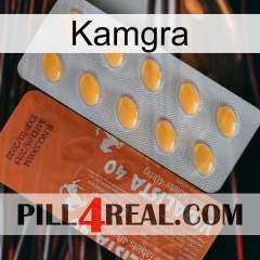 Kamgra 43